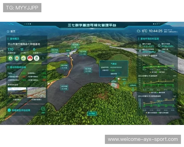 赛车赛事观众体验数字化创新分析(276 )