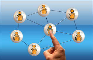 爱游戏网址登录-高校电竞联赛冠军诞生 战术与团队缺一不可，高校电竞联盟挑战赛全国总决赛